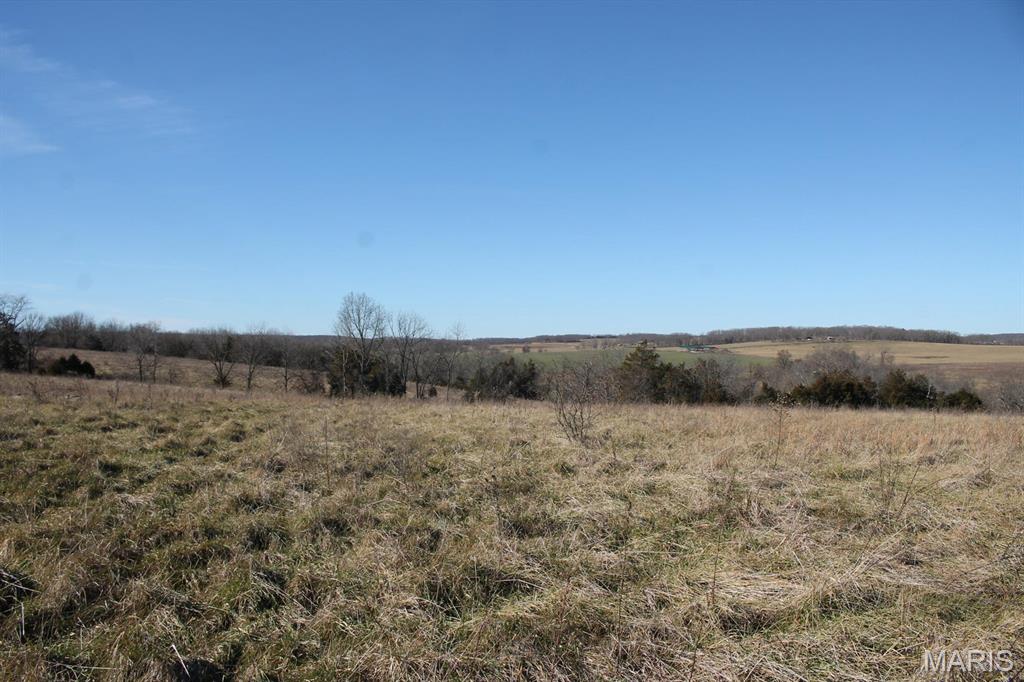 Homes for sale in Bucyrus, MO | 000 M Lynch Dr, Bucyrus, MO 65444 | MLS# MIS26005024