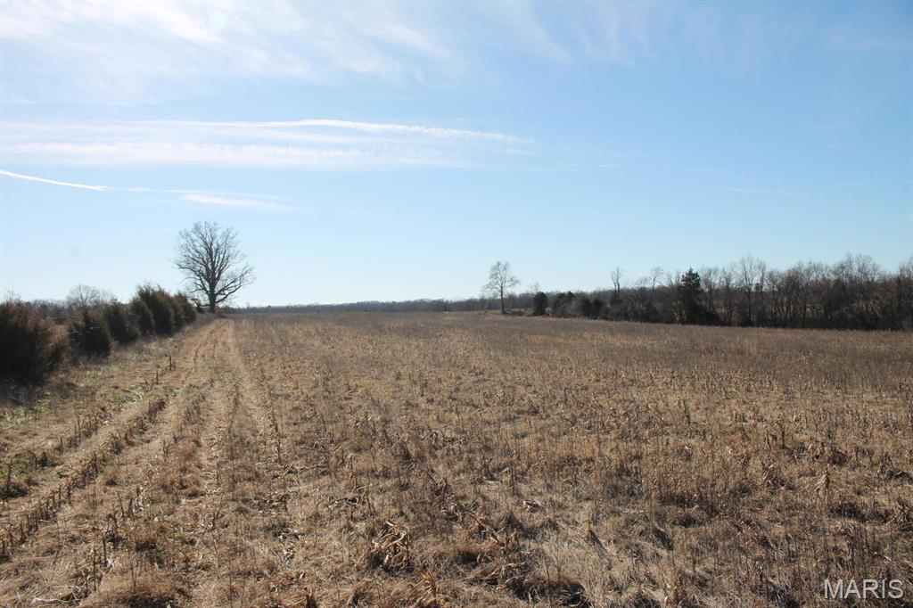 Homes for sale in Bucyrus, MO | 000 M-Lynch Dr, Bucyrus, MO 65444 | MLS# MIS26005024