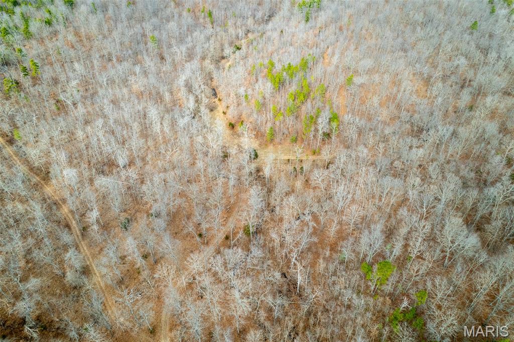 Homes for sale in Piedmont, MO | 7030 Wayne 341, Piedmont, MO 63957 | MLS# MIS26005099