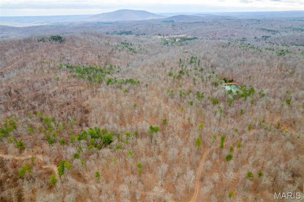 Homes for sale in Piedmont, MO | 7030 Wayne 341, Piedmont, MO 63957 | MLS# MIS26005099