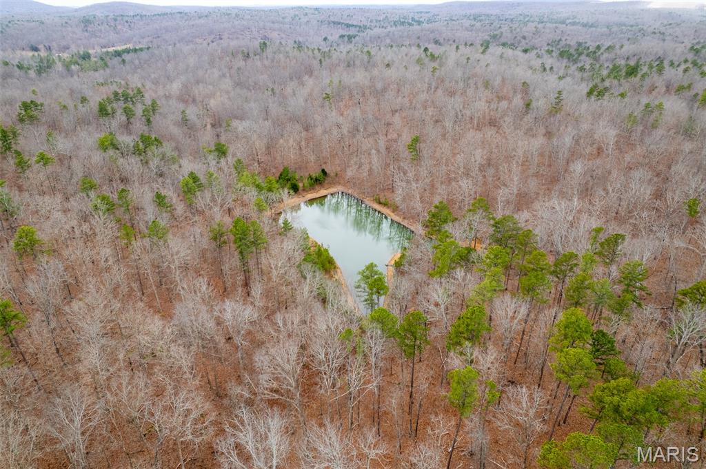 Homes for sale in Piedmont, MO | 7030 Wayne 341, Piedmont, MO 63957 | MLS# MIS26005099