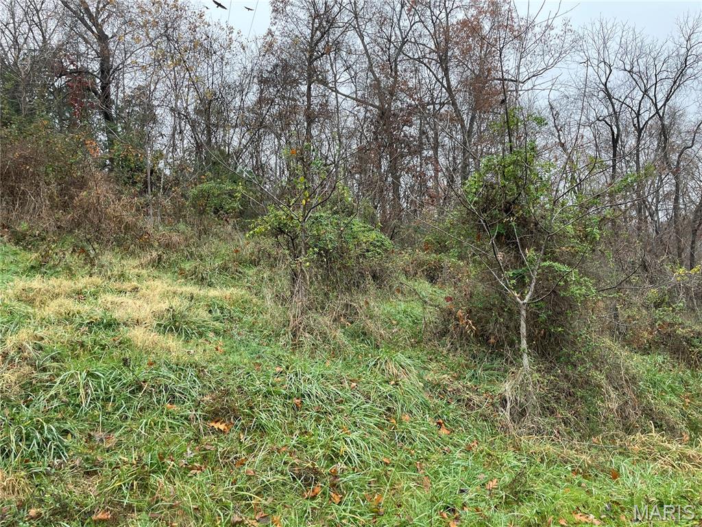 Homes for sale in Williamsville, MO | 410 Orchard St, Williamsville, MO 63967 | MLS# MIS26005205