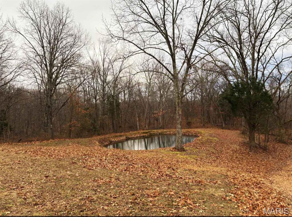 Homes for sale in Jackson, MO | 701 Catalpa Ln, Jackson, MO 63755 | MLS# MIS26005265