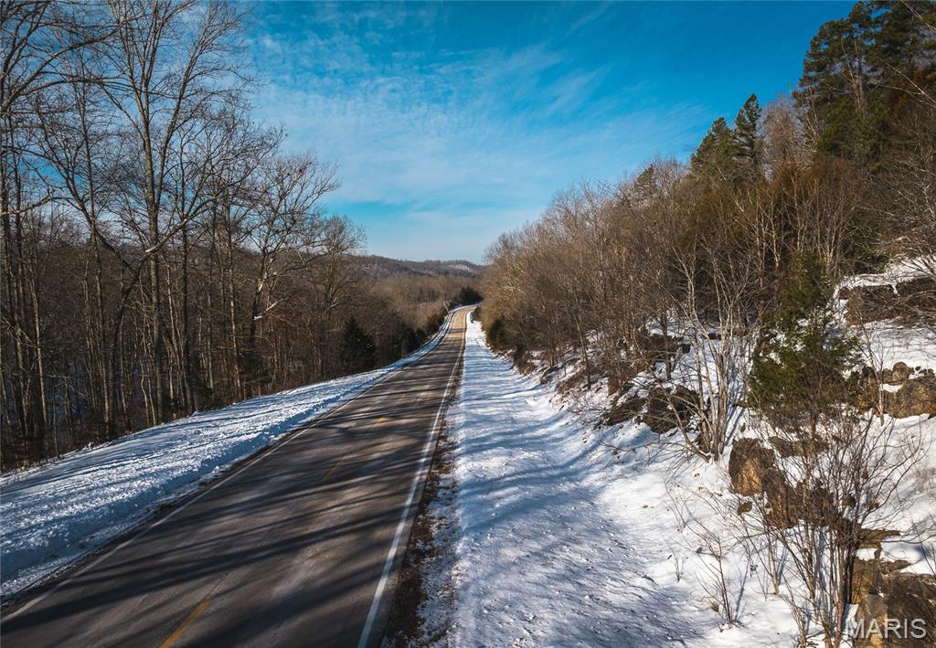 Homes for sale in Black, MO | 000 Hwy 49, Black, MO 63625 | MLS# MIS26005360