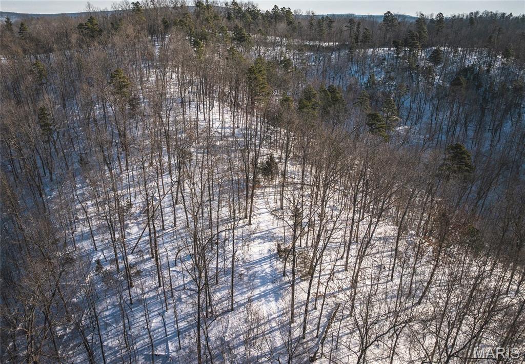 Homes for sale in Black, MO | 000 Hwy 49, Black, MO 63625 | MLS# MIS26005360