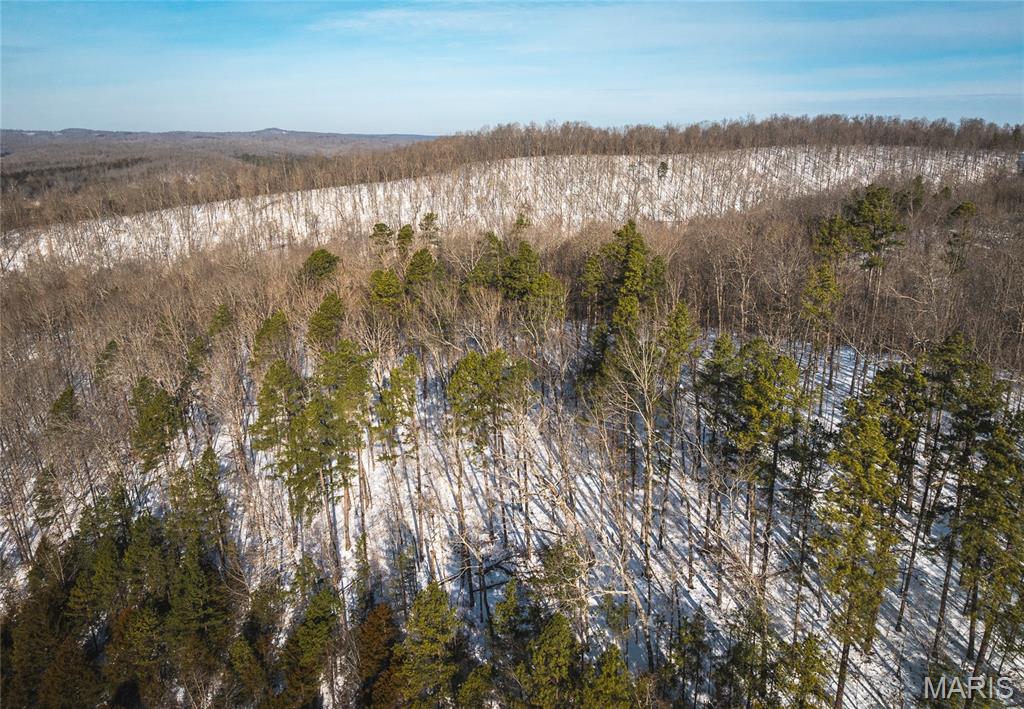 Homes for sale in Black, MO | 000 Hwy 49, Black, MO 63625 | MLS# MIS26005360