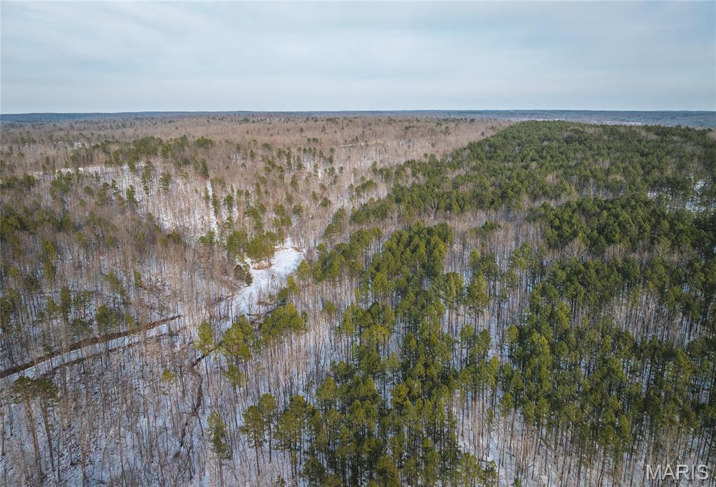 Homes for sale in Grandin, MO | 00 Hwy Nn, Grandin, MO 63943 | MLS# MIS26005369