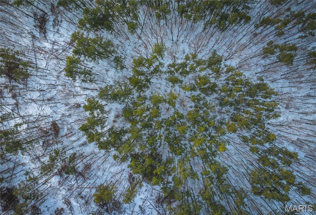 Homes for sale in Grandin, MO | 00 Hwy Nn, Grandin, MO 63943 | MLS# MIS26005369