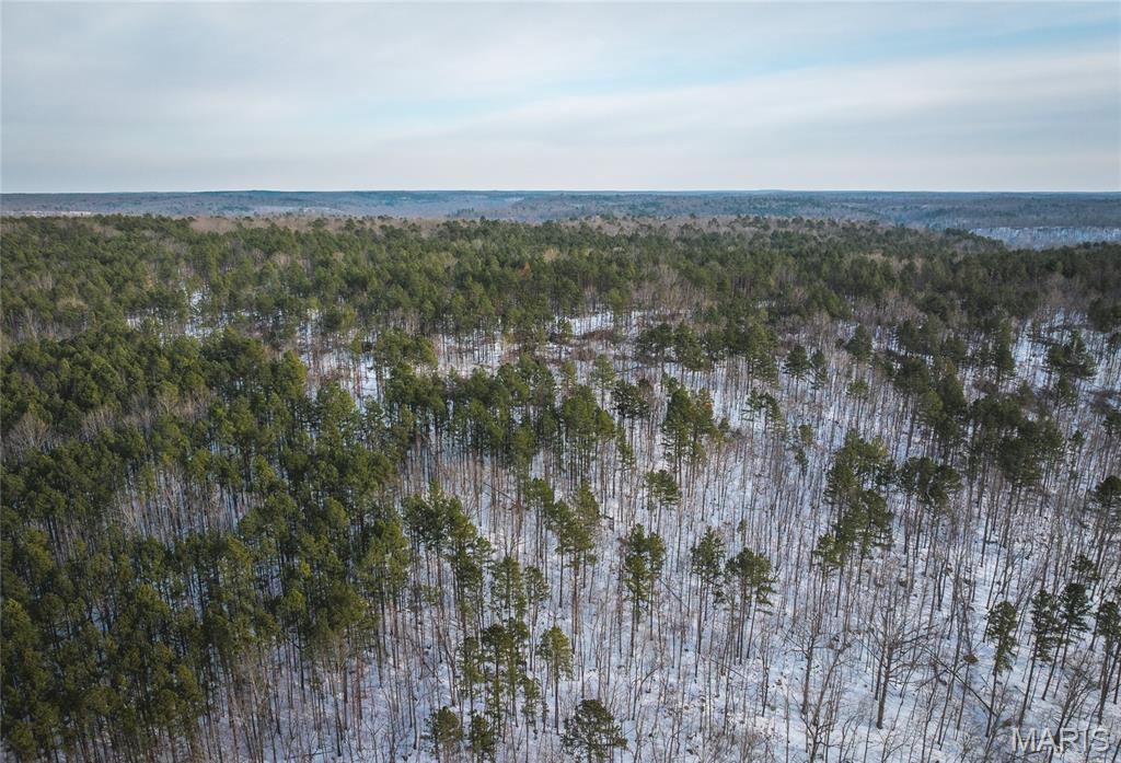 Homes for sale in Grandin, MO | 00 Hwy Nn, Grandin, MO 63943 | MLS# MIS26005369