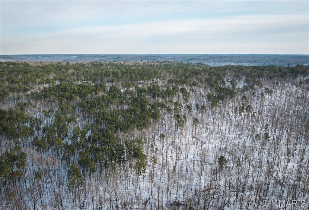 Homes for sale in Grandin, MO | 00 Hwy Nn, Grandin, MO 63943 | MLS# MIS26005369