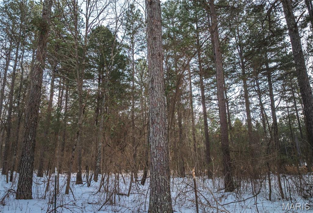 Homes for sale in Grandin, MO | 00 Hwy Nn, Grandin, MO 63943 | MLS# MIS26005369