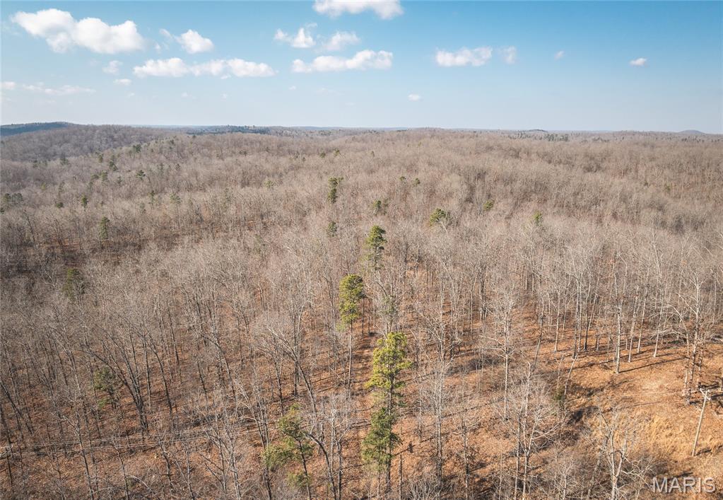 Homes for sale in Piedmont, MO | 000 County Road 352, Piedmont, MO 63957 | MLS# MIS26005439