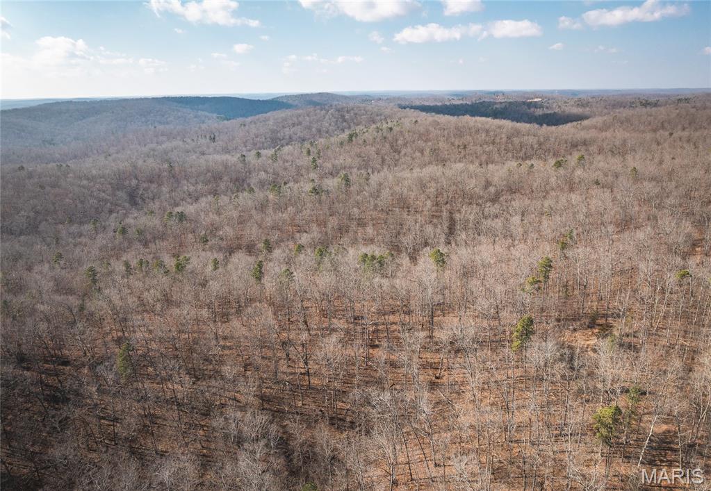 Homes for sale in Piedmont, MO | 000 County Road 352, Piedmont, MO 63957 | MLS# MIS26005439