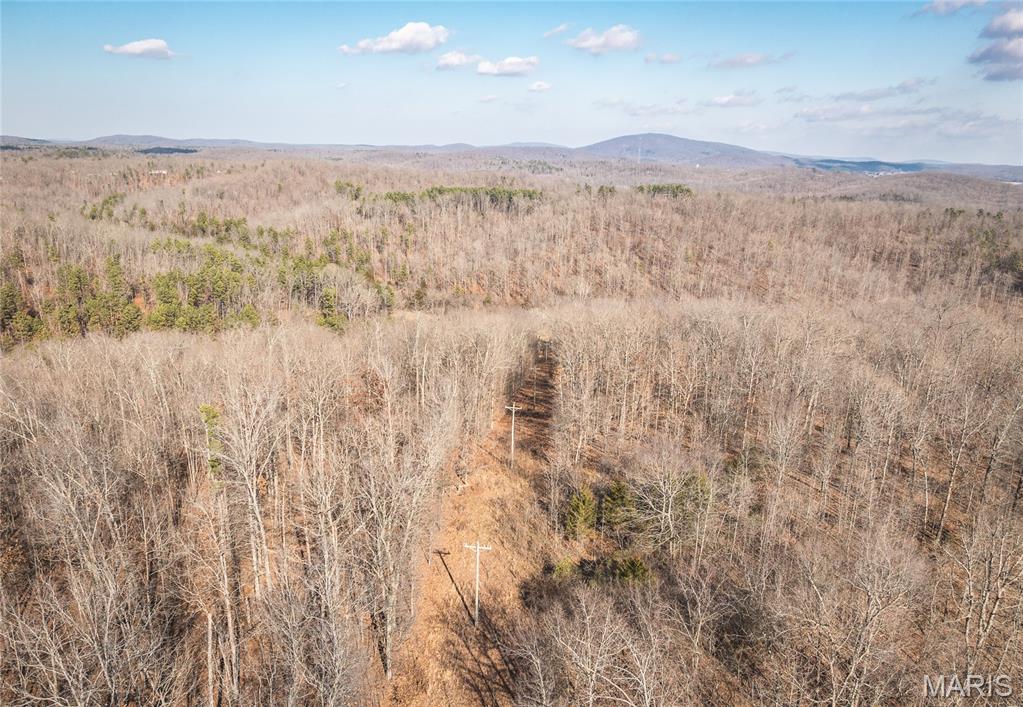 Homes for sale in Piedmont, MO | 000 County Road 352, Piedmont, MO 63957 | MLS# MIS26005439