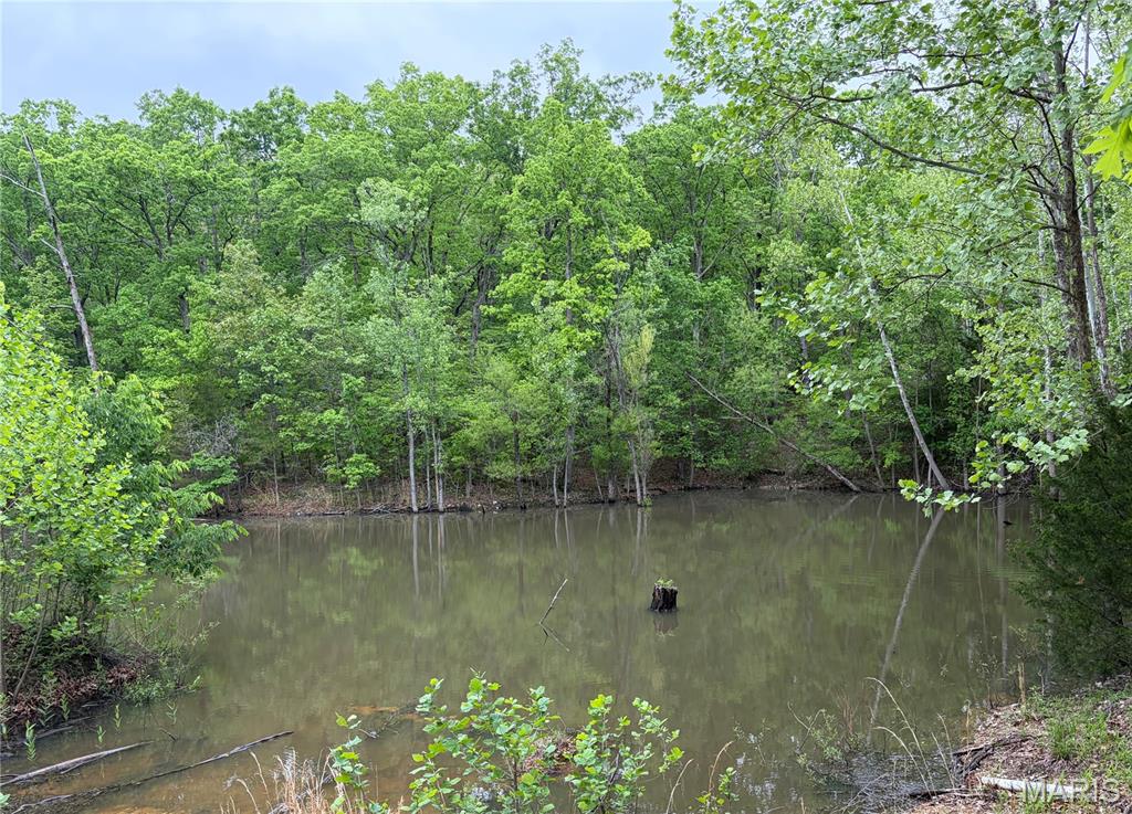 Homes for sale in Saint Clair, MO | 4462 N Virginia Mines Rd, Saint Clair, MO 63077 | MLS# MIS26006147