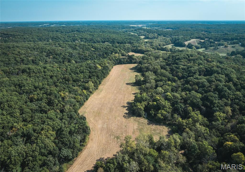 Homes for sale in Novinger, MO | 00 Spring Creek Road, Novinger, MO 63544 | MLS# MIS26006219