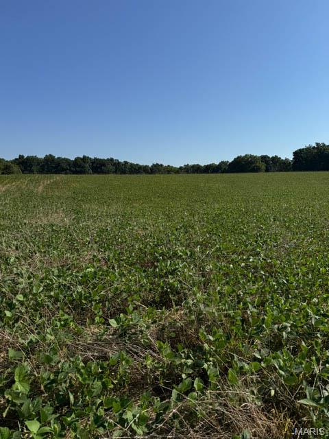 4th image of Rr E 2300 Ave N, Brownstown, IL 62418 | MLS# MIS26010238