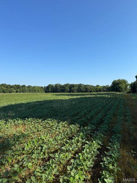 13th image of Rr E 2300 Ave N, Brownstown, IL 62418 | MLS# MIS26010238