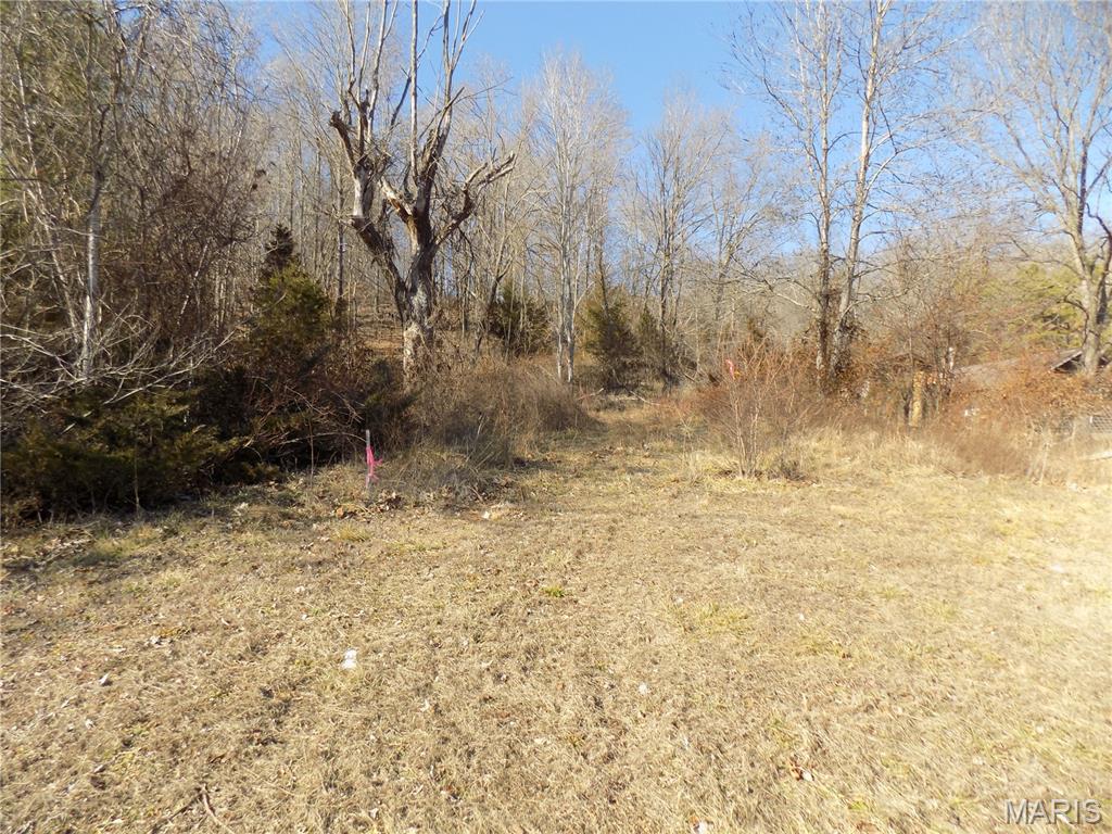 Homes for sale in Lesterville, MO | 38320 Hwy 21, Lesterville, MO 63654 | MLS# MIS26012096