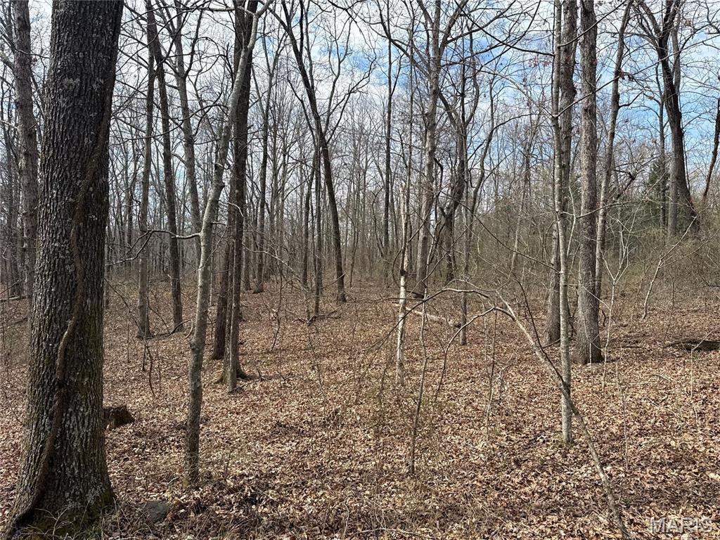 Homes for sale in Fremont, MO | 7 Off Ocr 159, Fremont, MO 63941 | MLS# MIS26012439