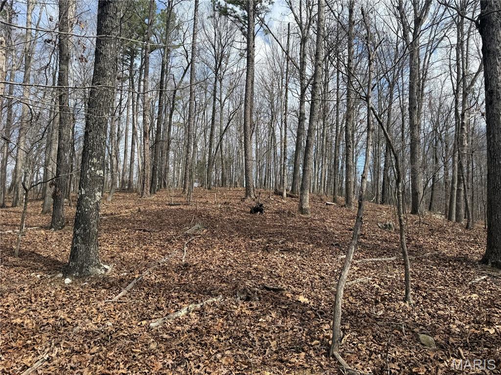 Homes for sale in Fremont, MO | 7 Off Ocr 159, Fremont, MO 63941 | MLS# MIS26012439