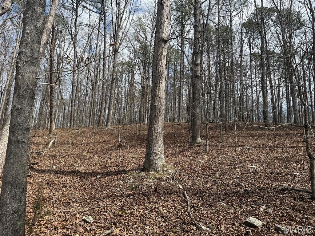 Homes for sale in Fremont, MO | 7 Off Ocr 159, Fremont, MO 63941 | MLS# MIS26012439