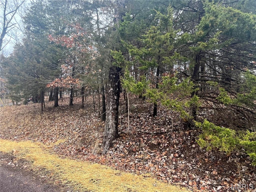 Homes for sale in Marthasville, MO | 1398 Heather Dr, Marthasville, MO 63357 | MLS# MIS26012465