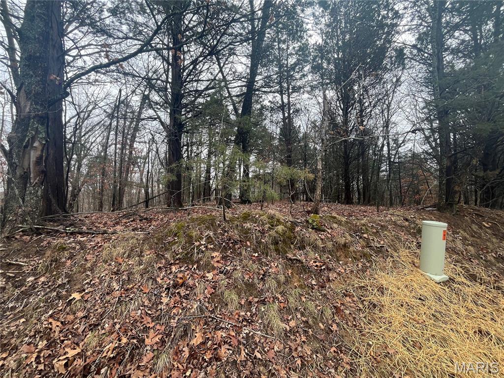 Homes for sale in Marthasville, MO | 1398 Heather Dr, Marthasville, MO 63357 | MLS# MIS26012465