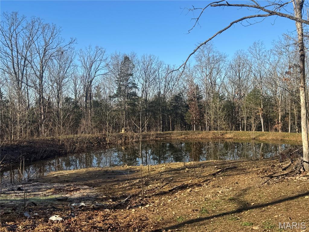 Homes for sale in Dixon, MO | 42850 Maries Road 638 Road, Dixon, MO 65459 | MLS# MIS26013265