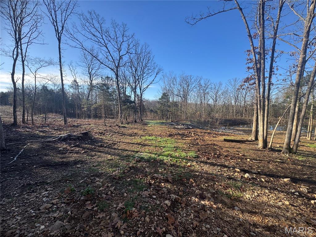 Homes for sale in Dixon, MO | 42850 Maries Road 638 Road, Dixon, MO 65459 | MLS# MIS26013265