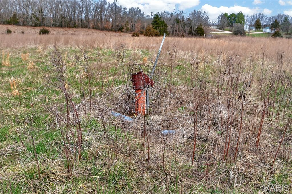 Homes for sale in Crocker, MO | 21010 Hwy Dd, Crocker, MO 65452 | MLS# MIS26014295