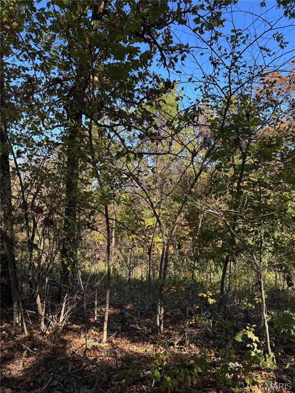 Homes for sale in Dixon, MO | 14505 Harvey Dr, Dixon, MO 65459 | MLS# MIS26014572