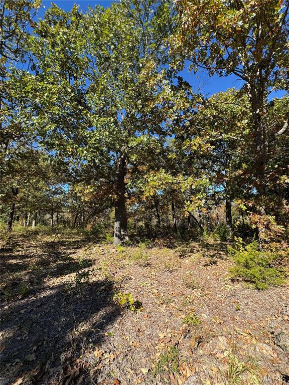 Homes for sale in Dixon, MO | 000 Hwy 28, Dixon, MO 65459 | MLS# MIS26014576