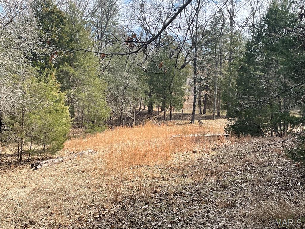 Homes for sale in Innsbrook, MO | 2107 Meadow Oaks Dr, Innsbrook, MO 63390 | MLS# MIS26015922