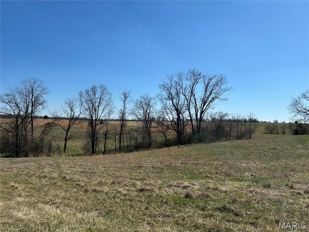 Homes for sale in Elsberry, MO | 11 And 21 Bryants Creek Dr, Elsberry, MO 63343 | MLS# MIS26016063