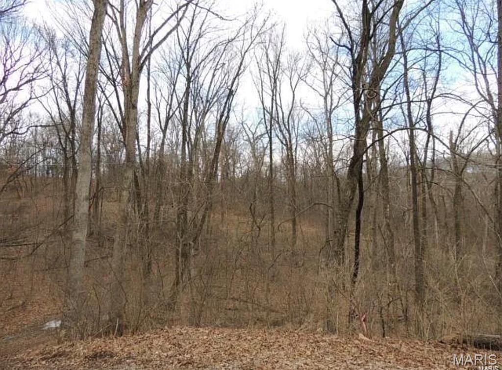 Homes for sale in Wildwood, MO | 1001 Chesterfield Forest Dr, Wildwood, MO 63005 | MLS# MIS26016209