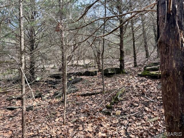 Homes for sale in Cabool, MO | 000 Hwy M Tract D, Cabool, MO 65689 | MLS# MIS26016371