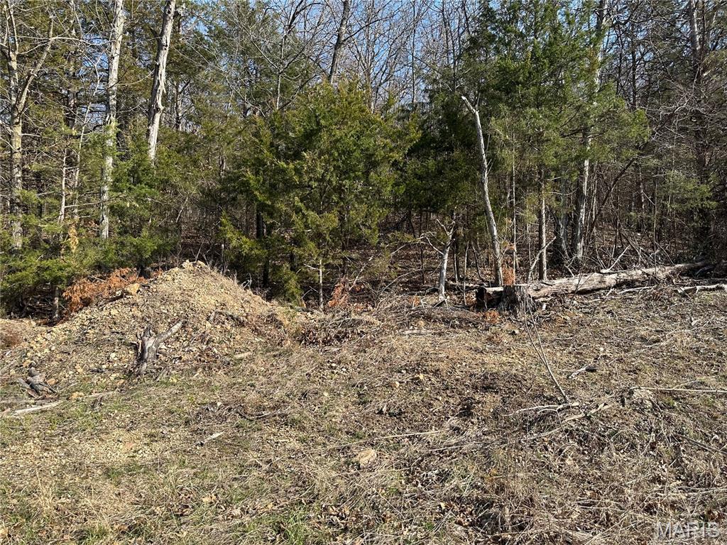 Homes for sale in Owensville, MO | 0 Lake Shore Dr, Owensville, MO 65066 | MLS# MIS26016398