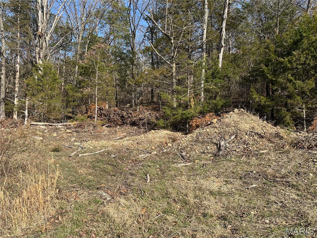 Homes for sale in Owensville, MO | 0 Lake Shore Dr, Owensville, MO 65066 | MLS# MIS26016398