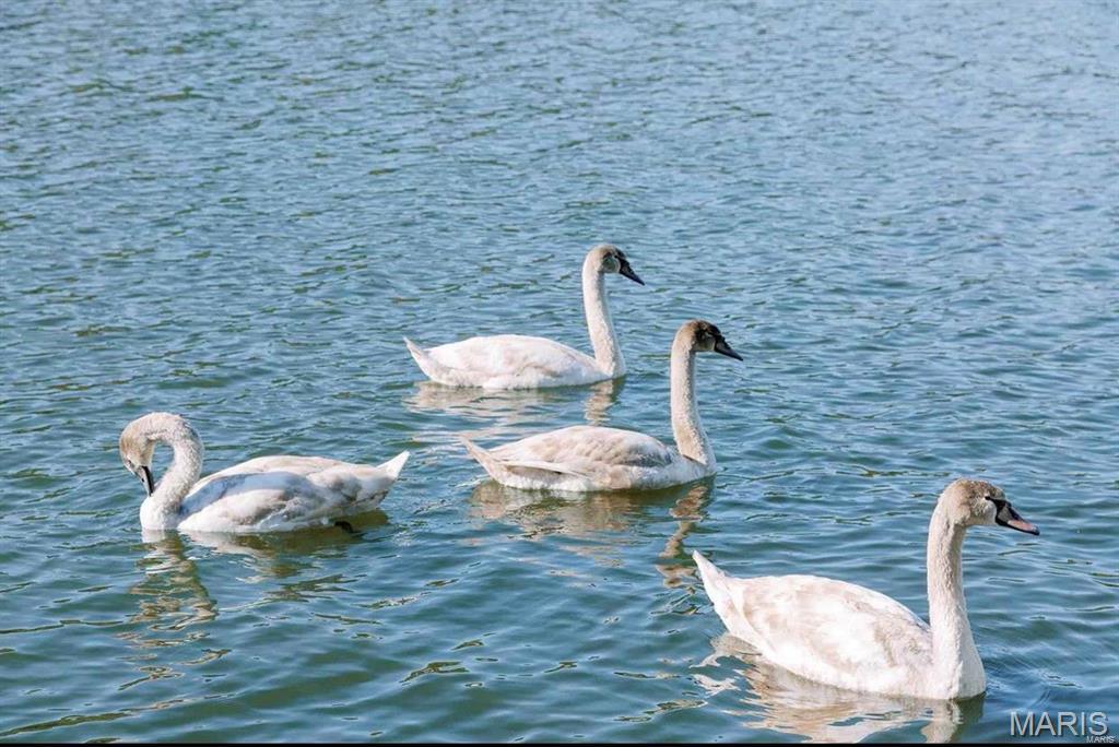 Homes for sale in Owensville, MO | 0 Lake Shore Dr, Owensville, MO 65066 | MLS# MIS26016398