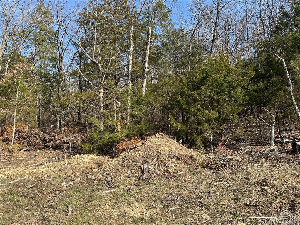 Homes for sale in Owensville, MO | 0 Lake Shore Dr, Owensville, MO 65066 | MLS# MIS26016398