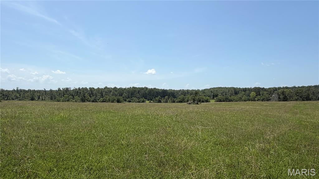 13th image of 1 Ripley Z 4, Gatewood, MO 63942 | MLS# MIS26018645