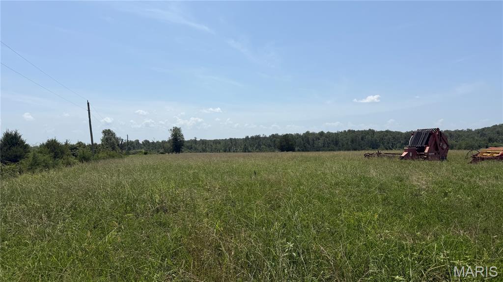 2nd image of 1 Ripley Z 4, Gatewood, MO 63942 | MLS# MIS26018645