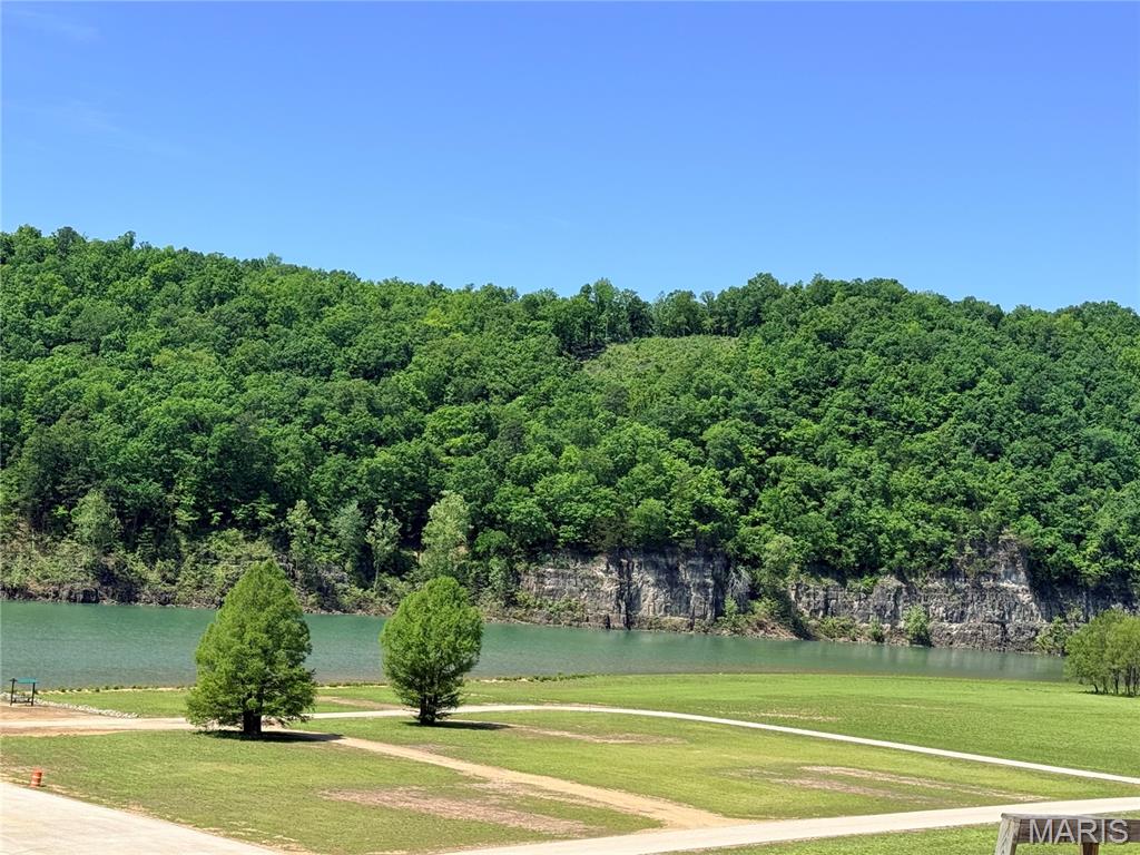 Homes for sale in Piedmont, MO | 54 Shannon Dr, Piedmont, MO 63957 | MLS# MIS26025503