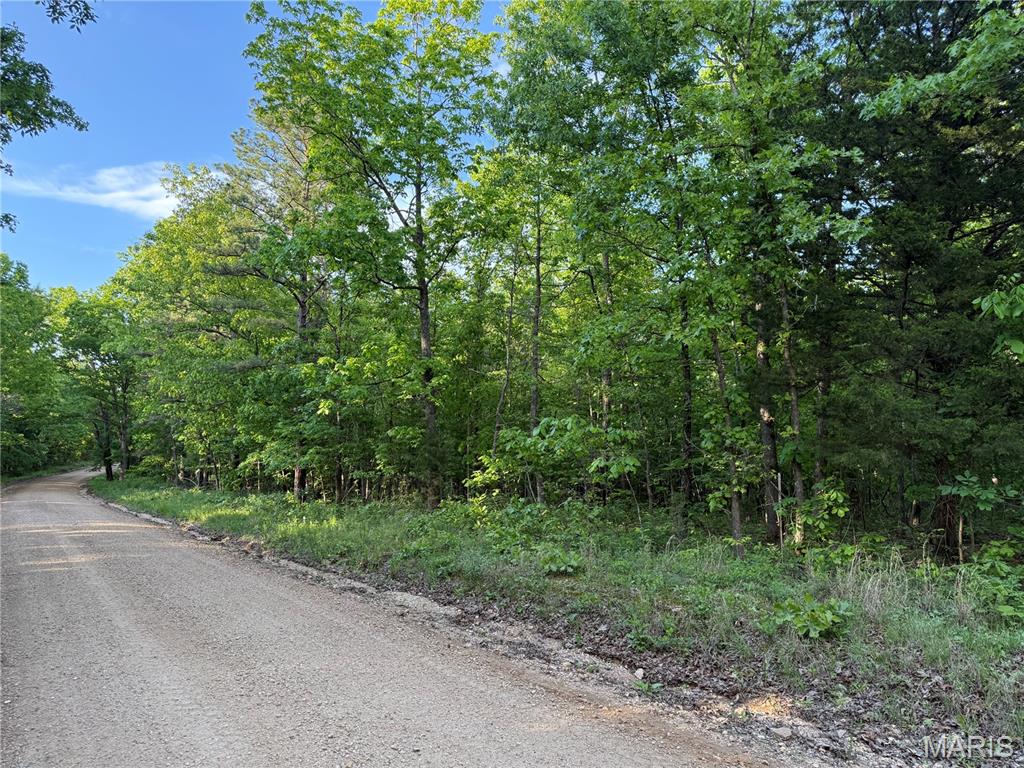 Homes for sale in Ellsinore, MO | Tract 2 Carter 327, Ellsinore, MO 63937 | MLS# MIS26025947