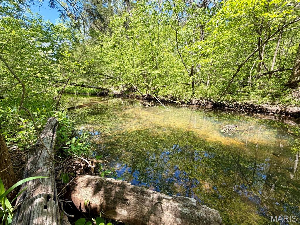 1st image of 6 Furnace Creek Rd, Potosi, MO 63664 | MLS# MIS26027050