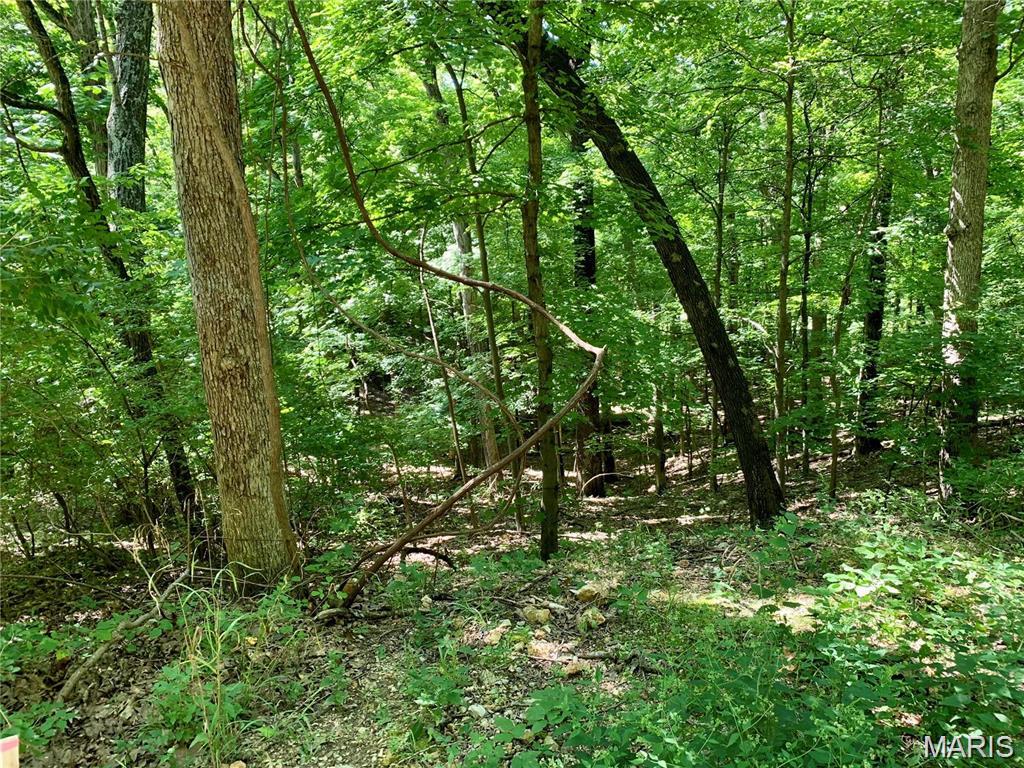 Homes for sale in Imperial, MO | Lots 5 11 Dogwood Lane, Imperial, MO 63052 | MLS# MIS26032151