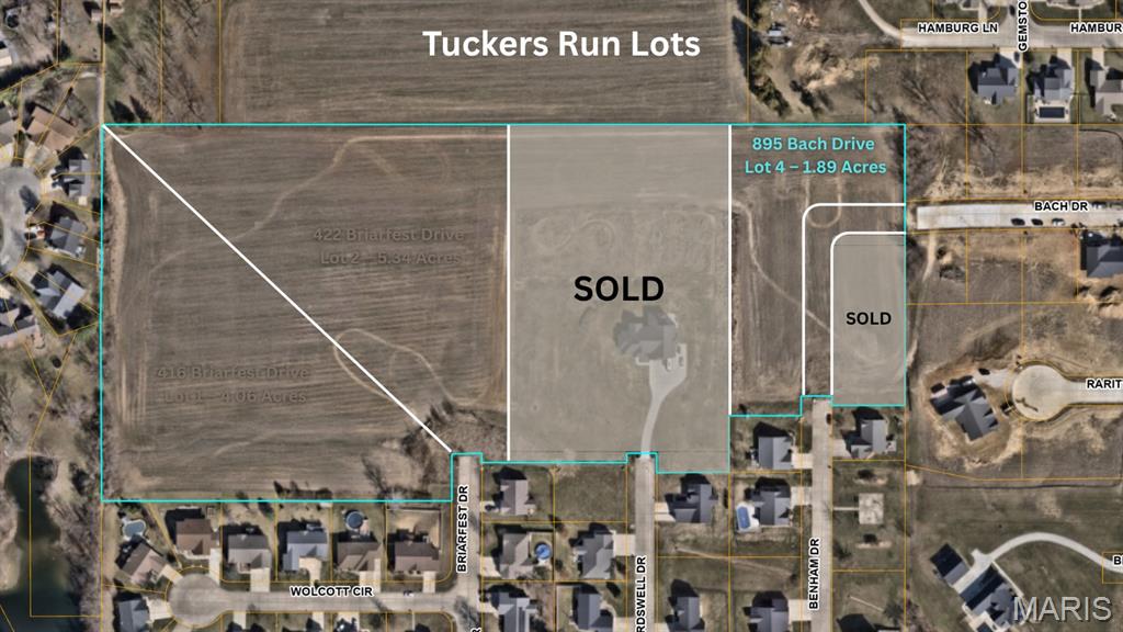 Homes for sale in Millstadt, IL | 895 Bach Dr, Millstadt, IL 62260 | MLS# MIS26032603