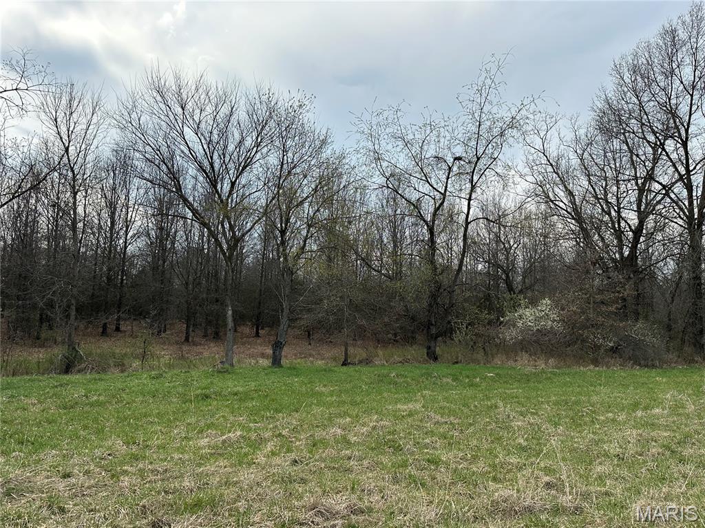 Homes for sale in Monroe City, MO | 20 Route N, Monroe City, MO 63456 | MLS# MIS26034260