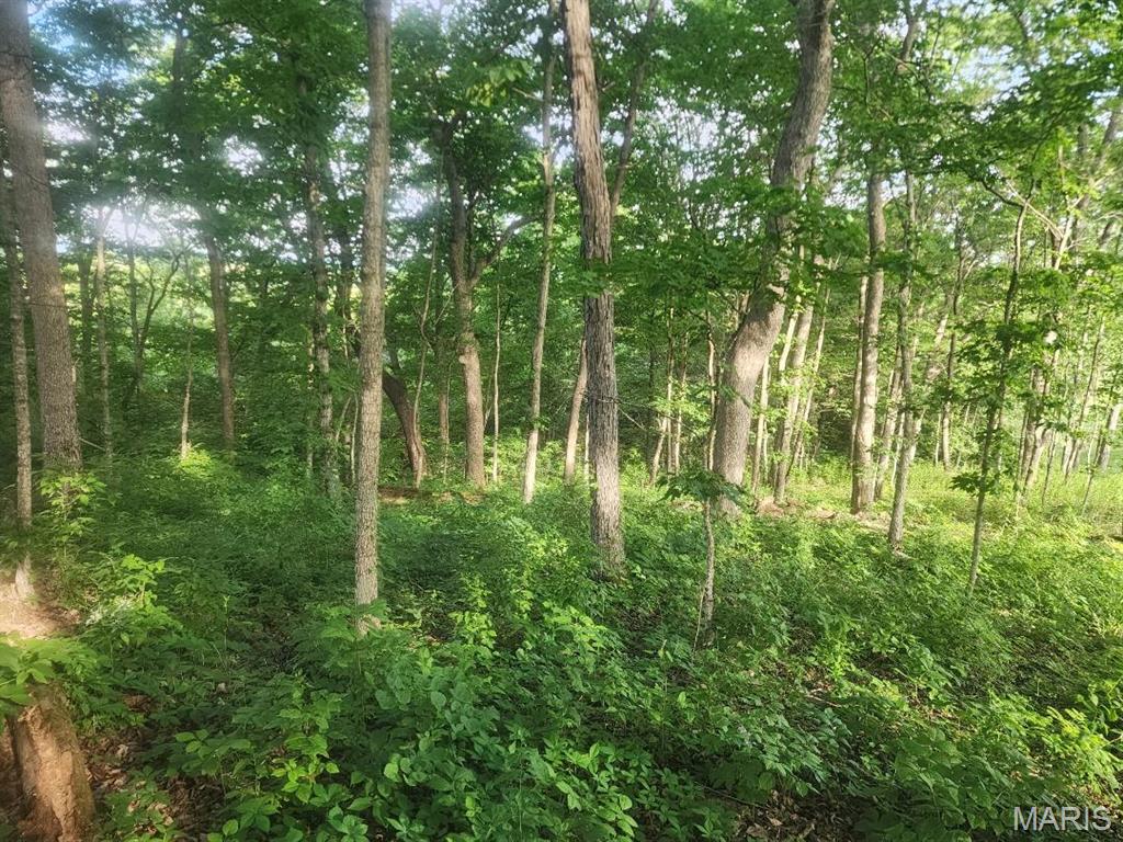 Homes for sale in Warrenton, MO | 22206 Tree Farm (652Acres +/-) Rd, Warrenton, MO 63383 | MLS# MIS26035136